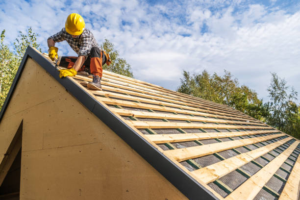 Best Roof Restoration Services  in Newport, TN